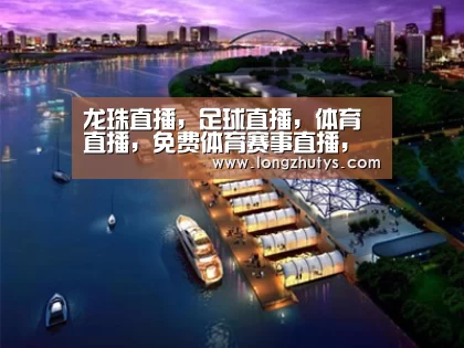 案例展示八