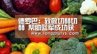 德罗巴:致敬切赫切赫 帮助蓝军成功获得欧冠冠军【龙珠体育】(图1) 龙珠体育