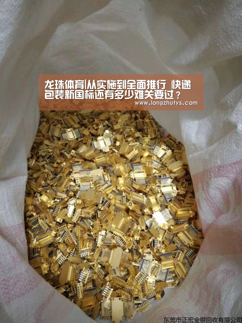 龙珠体育体育