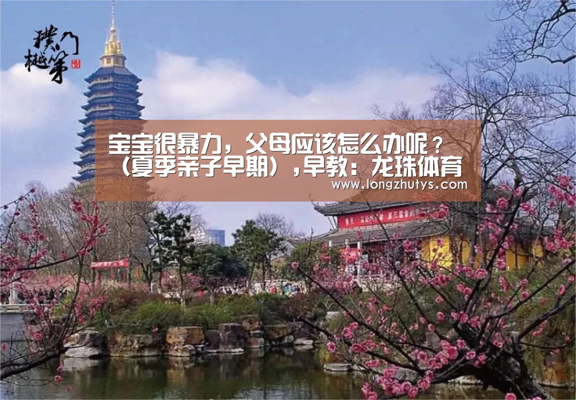 宝宝很暴力,父母应该怎么办呢?(夏季亲子早期),早教:龙珠体育(图1) 龙珠体育