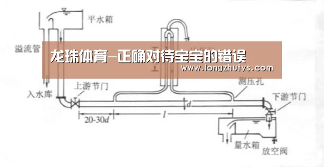 龙珠体育体育