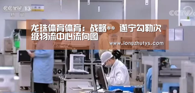 龙珠体育体育:战略** 遂宁勾勒次级物流中心流向图(图1) 龙珠体育