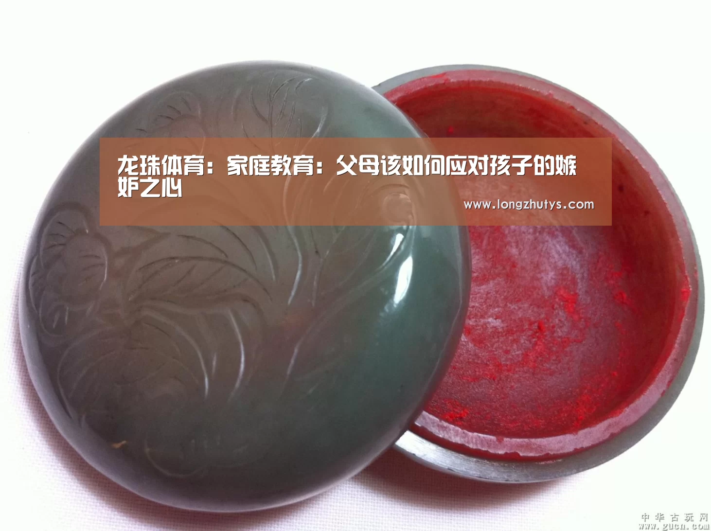 龙珠体育:家庭教育:父母该如何应对孩子的嫉妒之心(图2) 龙珠体育